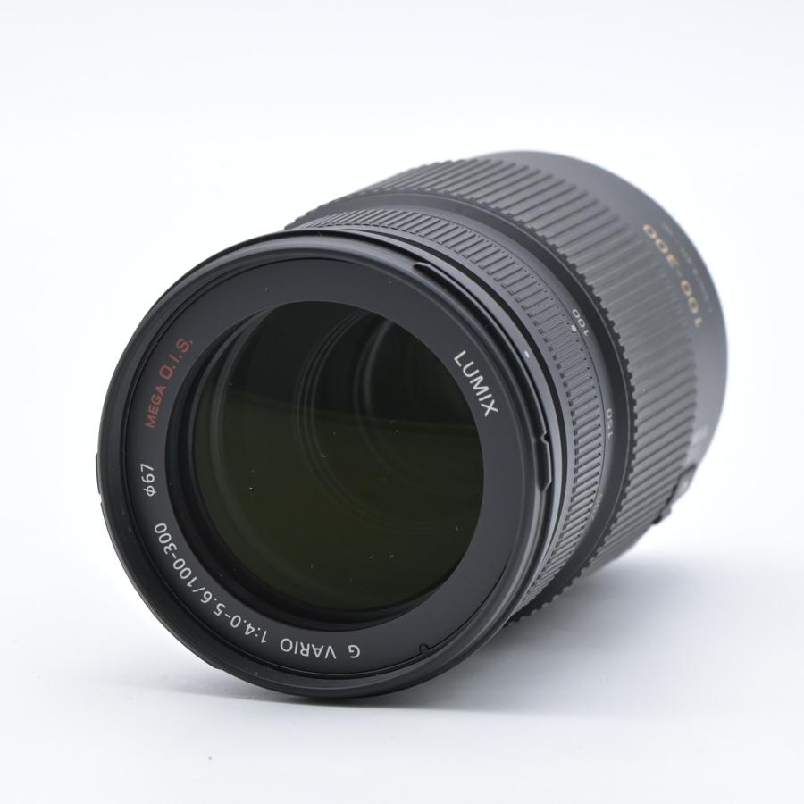 Panasonic パナソニック LUMIX G VARIO 100-300mm F4.0-5.6 MEGA O.I.S. H-FS100300 |  | 01