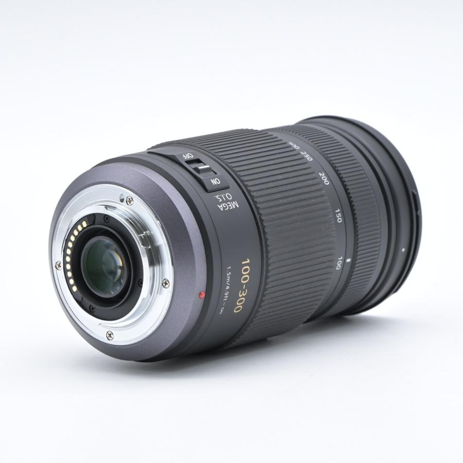 Panasonic パナソニック LUMIX G VARIO 100-300mm F4.0-5.6 MEGA O.I.S. H-FS100300 |  | 03