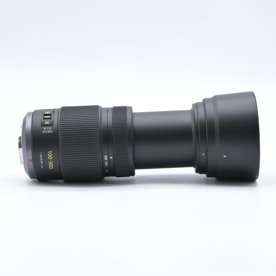 Panasonic パナソニック LUMIX G VARIO 100-300mm F4.0-5.6 MEGA O.I.S. H-FS100300 |  | 06