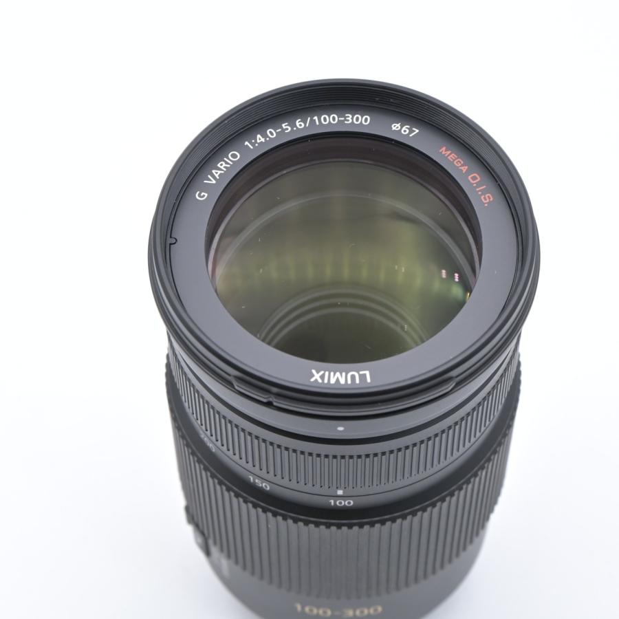 Panasonic パナソニック LUMIX G VARIO 100-300mm F4.0-5.6 MEGA O.I.S. H-FS100300 |  | 07