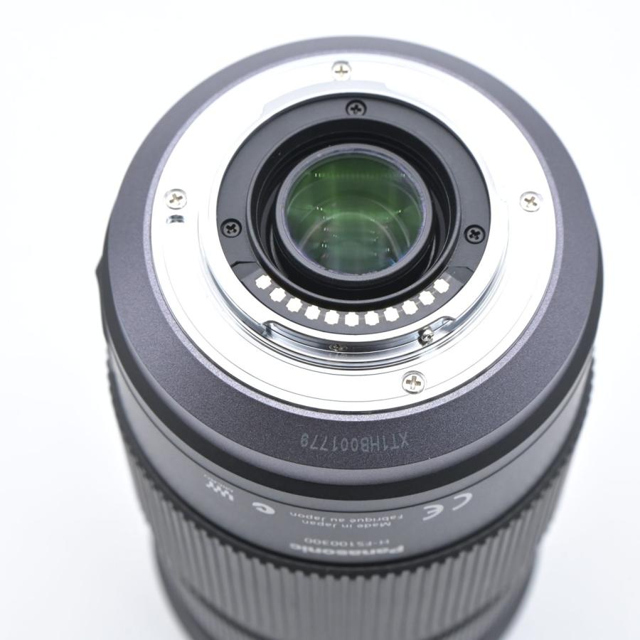 Panasonic パナソニック LUMIX G VARIO 100-300mm F4.0-5.6 MEGA O.I.S. H-FS100300 |  | 08