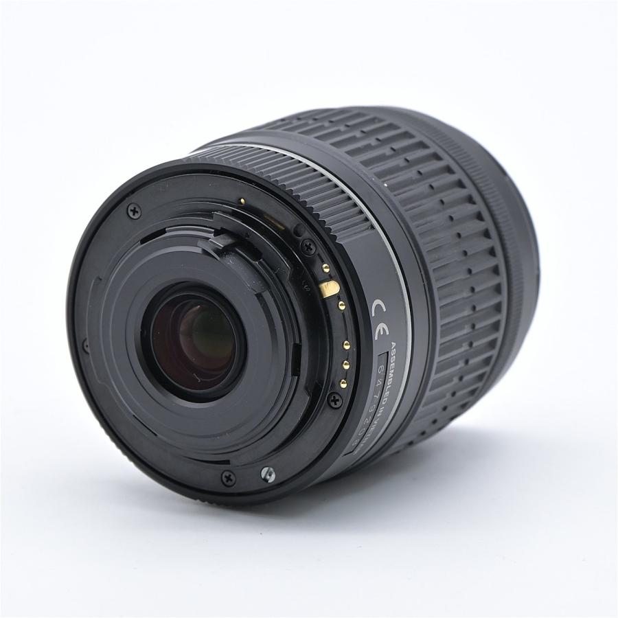 PENTAX ペンタックス SMC-PENTAX-DAL 50-200mm F4-5.6 ED : フラッグ