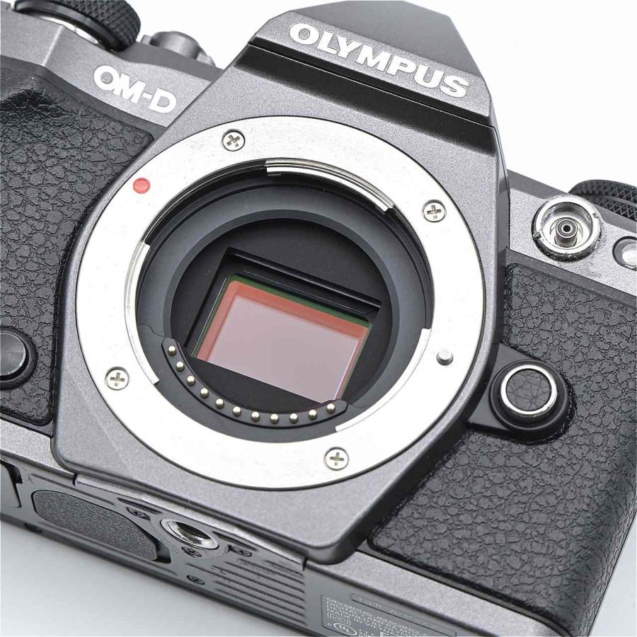OLYMPUS オリンパス OM-D E-M5 MarkII Limited Edition Kit チタニウム