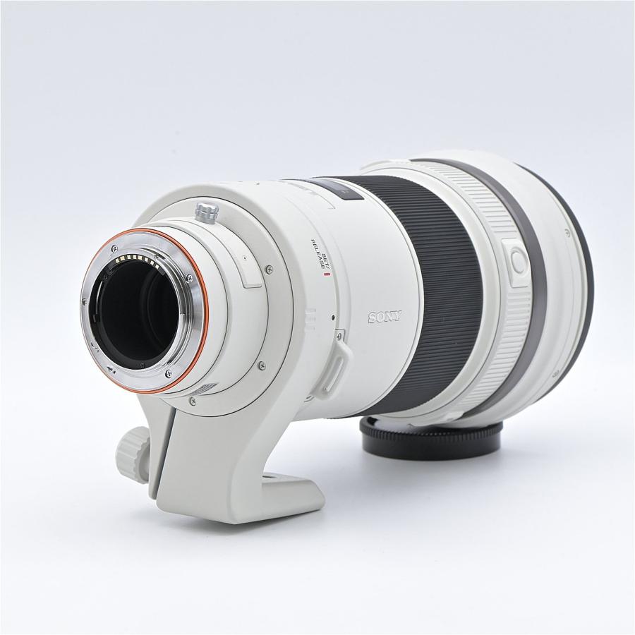 SONY ソニー 300mm F2.8 G SSM II SAL300F28G2 : フラッグシップカメラ