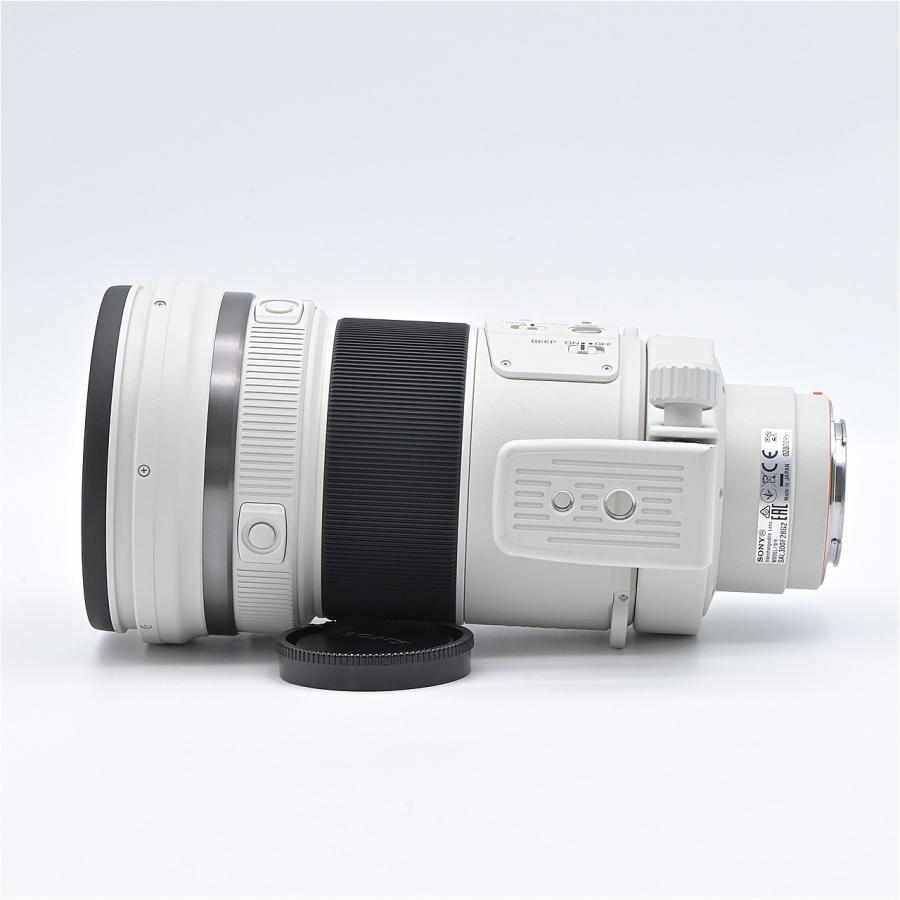 SONY ソニー 300mm F2.8 G SSM II SAL300F28G2 : フラッグシップカメラ