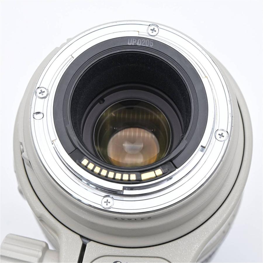 Canon キヤノン EF100-400mm F4.5-5.6L IS USM : フラッグシップカメラ
