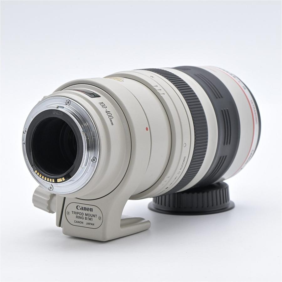 Canon キヤノン EF100-400mm F4.5-5.6L IS USM : フラッグシップカメラ