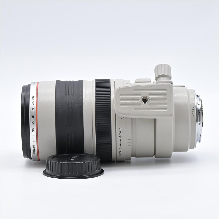 Canon キヤノン EF100-400mm F4.5-5.6L IS USM : フラッグシップカメラ