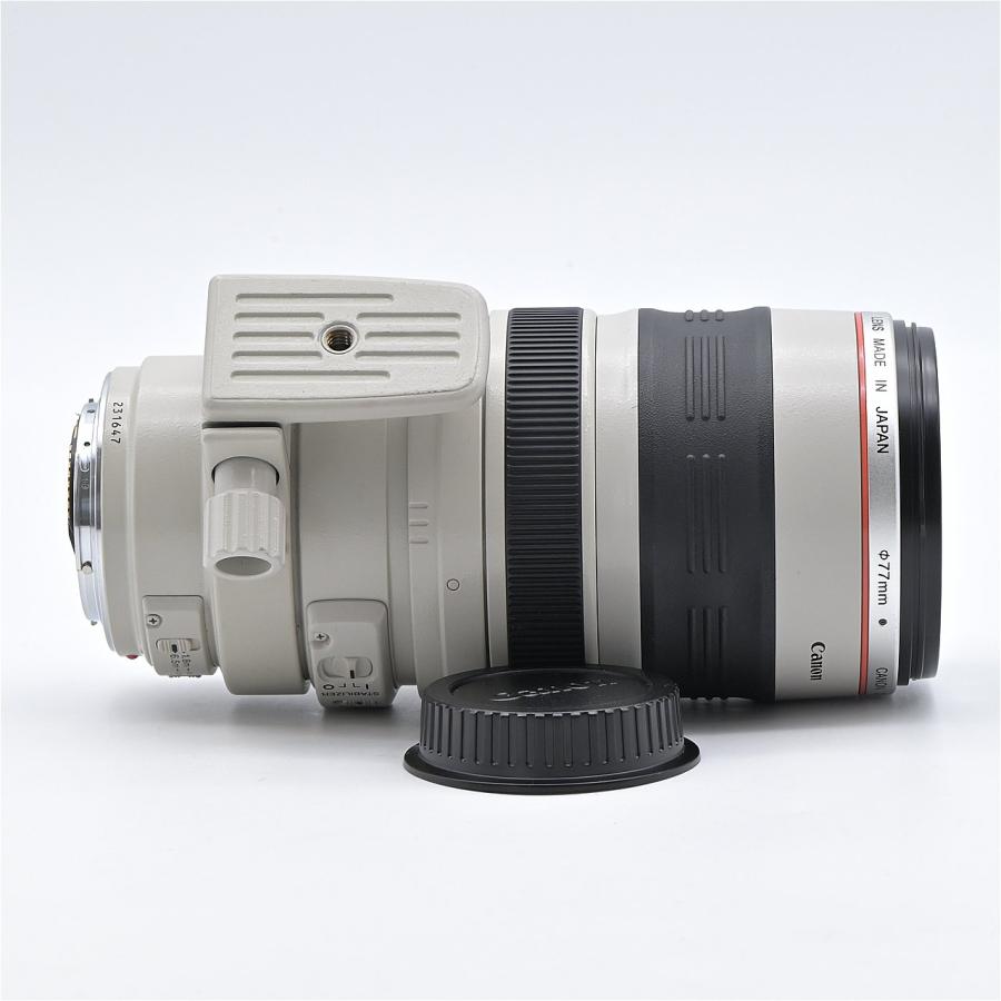 Canon キヤノン EF100-400mm F4.5-5.6L IS USM : フラッグシップカメラ