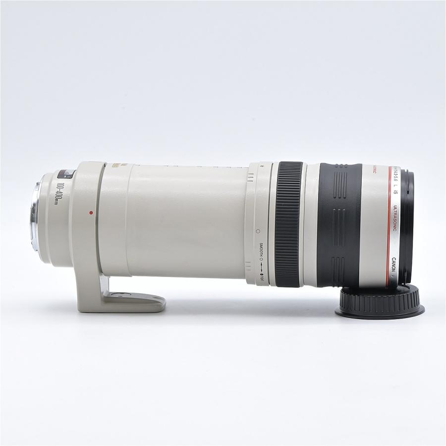 Canon キヤノン EF100-400mm F4.5-5.6L IS USM : フラッグシップカメラ