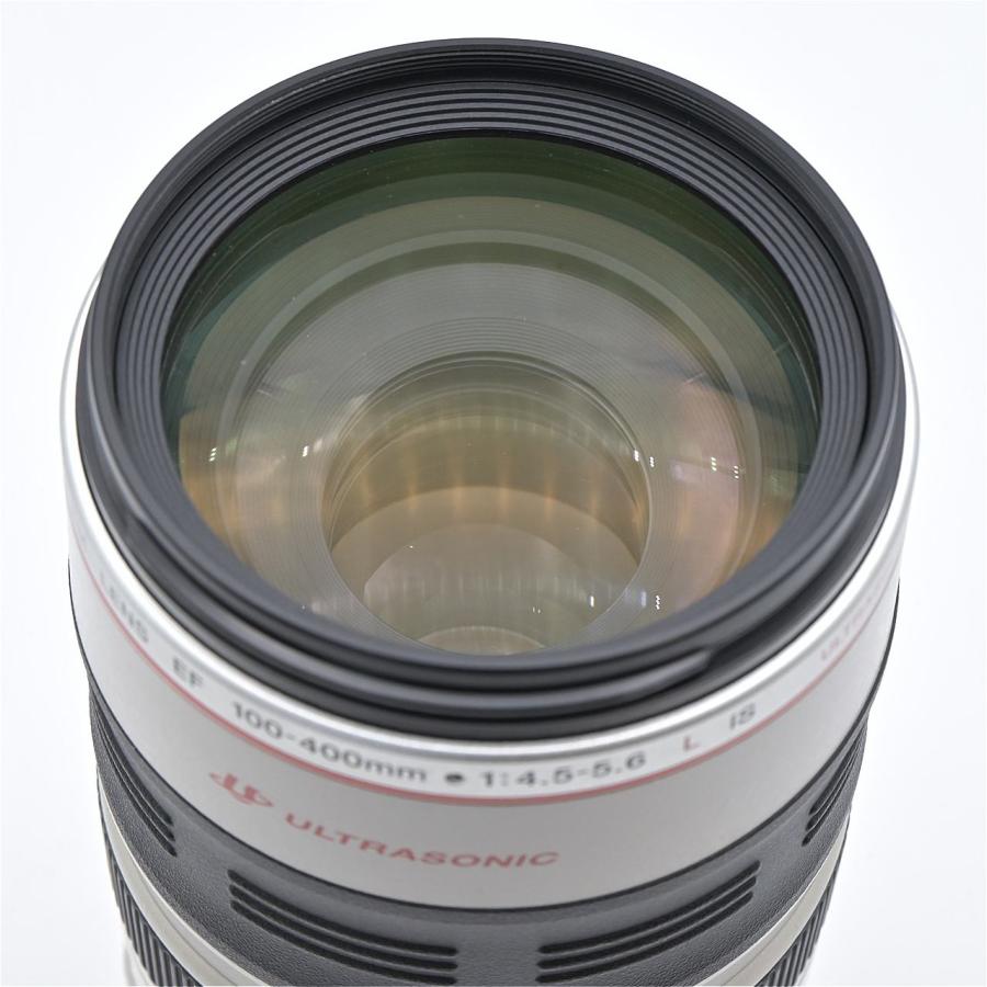 Canon キヤノン EF100-400mm F4.5-5.6L IS USM : フラッグシップカメラ