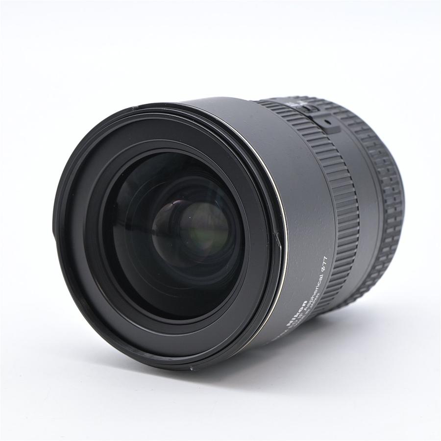 Nikon ニコン AF-S DX NIKKOR 17-55mm F2.8G ED : フラッグシップ