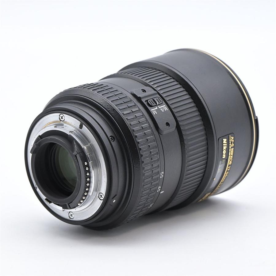 Nikon ニコン AF-S DX NIKKOR 17-55mm F2.8G ED : フラッグシップ