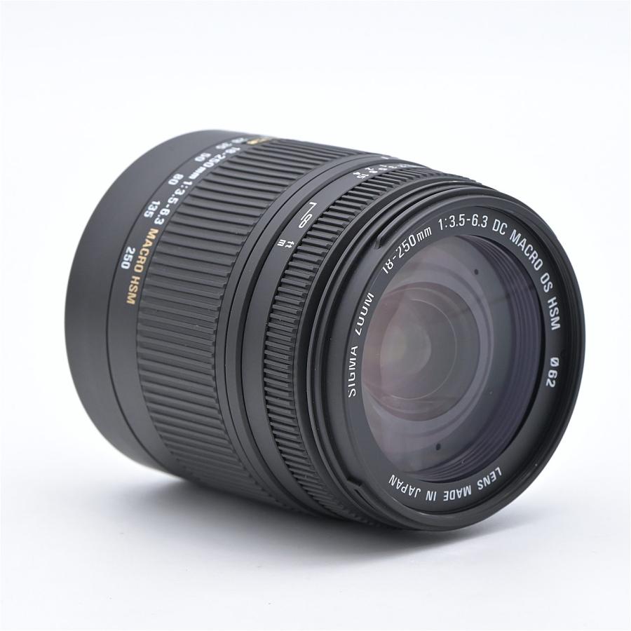 SIGMA シグマ 18-250mm F3.5-6.3 DC MACRO OS HSM ニコン用 : フラッグ