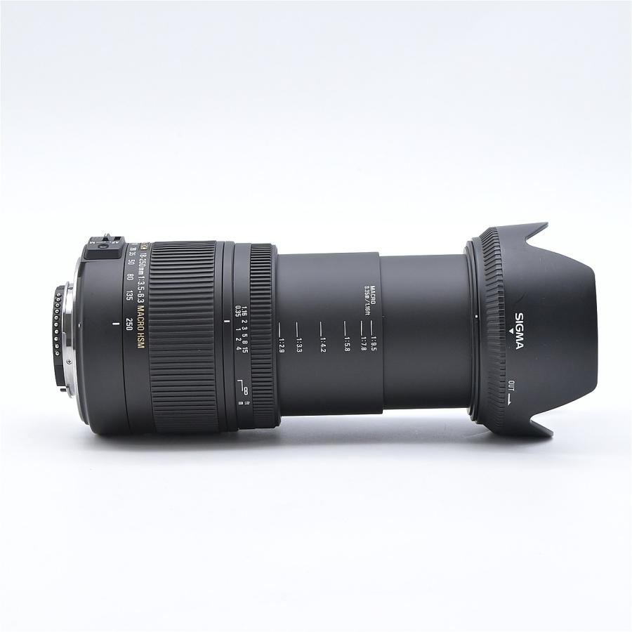 SIGMA シグマ 18-250mm F3.5-6.3 DC MACRO OS HSM ニコン用 : フラッグ