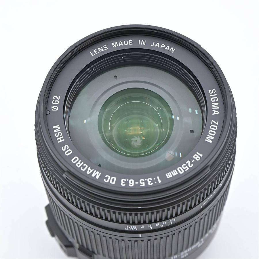 美品 シグマ 18-250mm DC OS HSM ☆ニコン用☆高倍率レンズ SIGMA シグマ 18-250mm F3.5-6.3 DC MACRO OS HSM ニコン用 : フラッグ