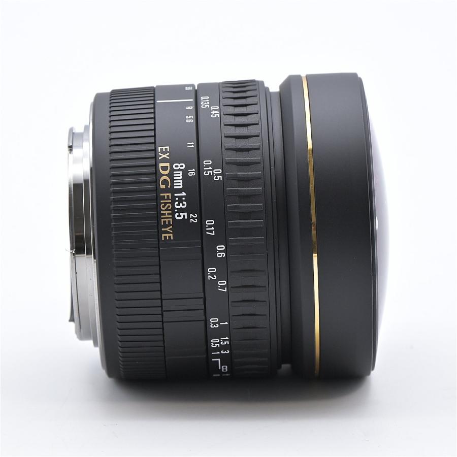 SIGMA シグマ 8mm F3.5 EX DG CIRCULAR FISHEYE キヤノン用 : フラッグ