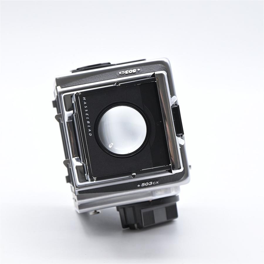 HASSELBLAD ハッセルブラッド 503CX ボディ 中判 ブラック : フラッグ