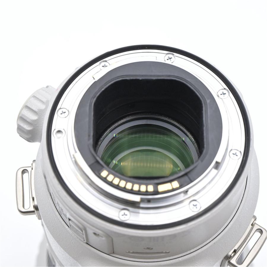 Canon キヤノン EF400mm F4 DO IS II USM : フラッグシップカメラ