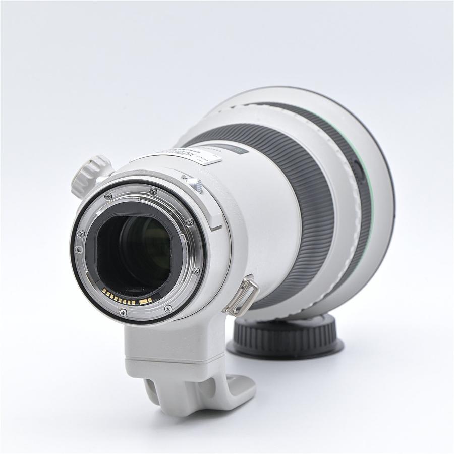 Canon キヤノン EF400mm F4 DO IS II USM : フラッグシップカメラ