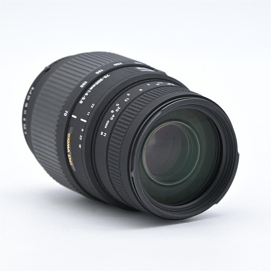 SIGMA シグマ 70-300mm F4-5.6 DG MACRO ペンタックス用 : フラッグ