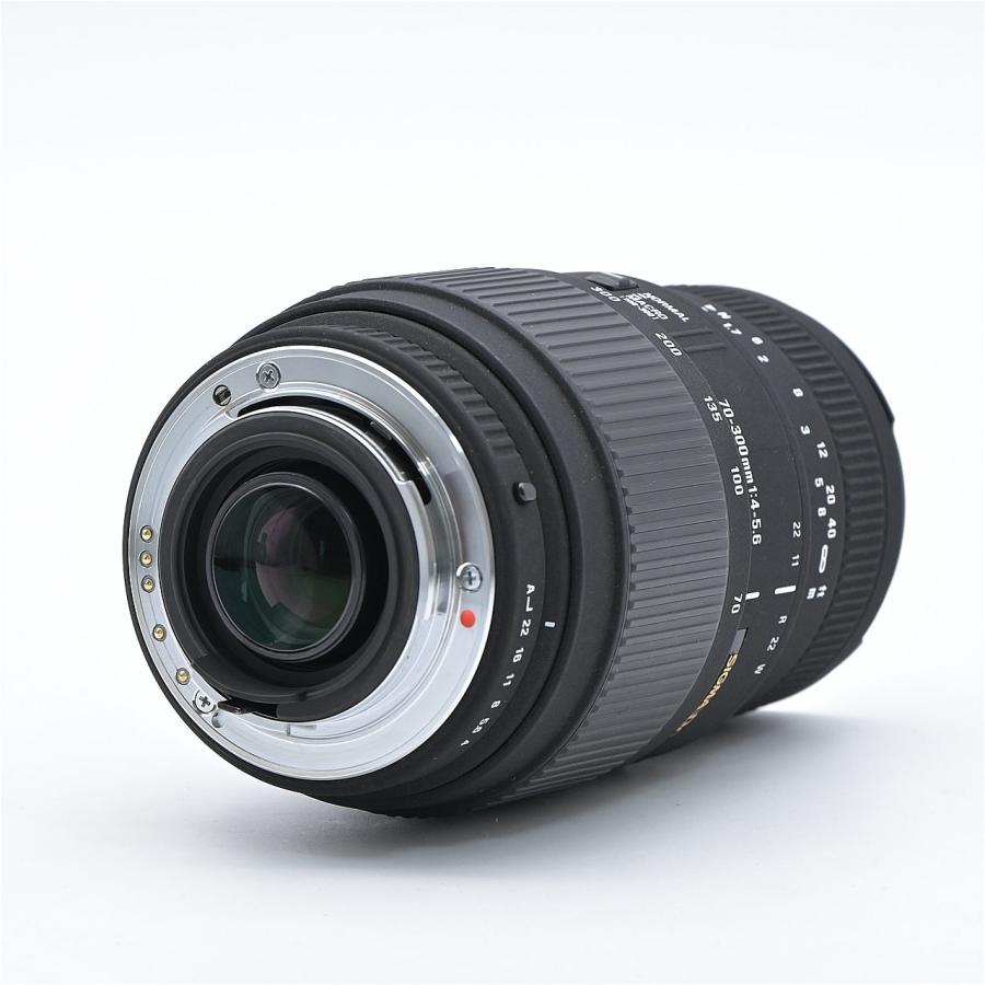 SIGMA シグマ 70-300mm F4-5.6 DG MACRO ペンタックス用 : フラッグ