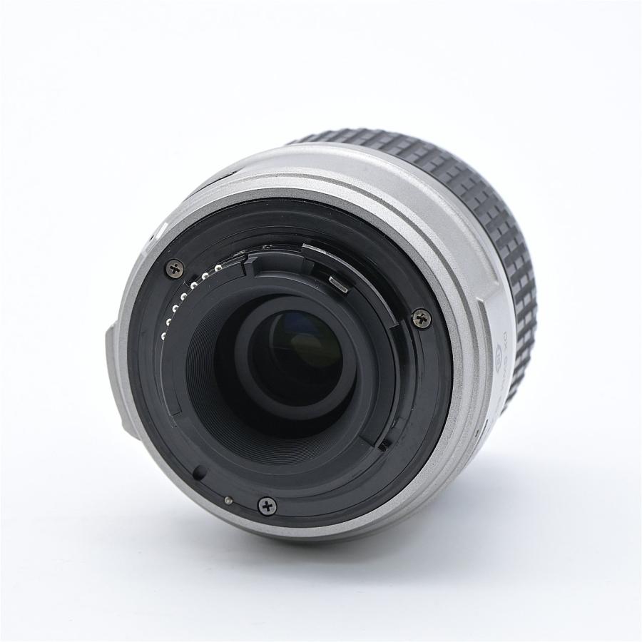 Nikon ニコン D40 レンズキット シルバー : フラッグシップカメラ