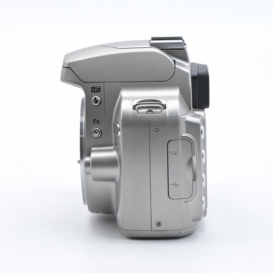 Nikon ニコン D40 レンズキット シルバー : フラッグシップカメラ