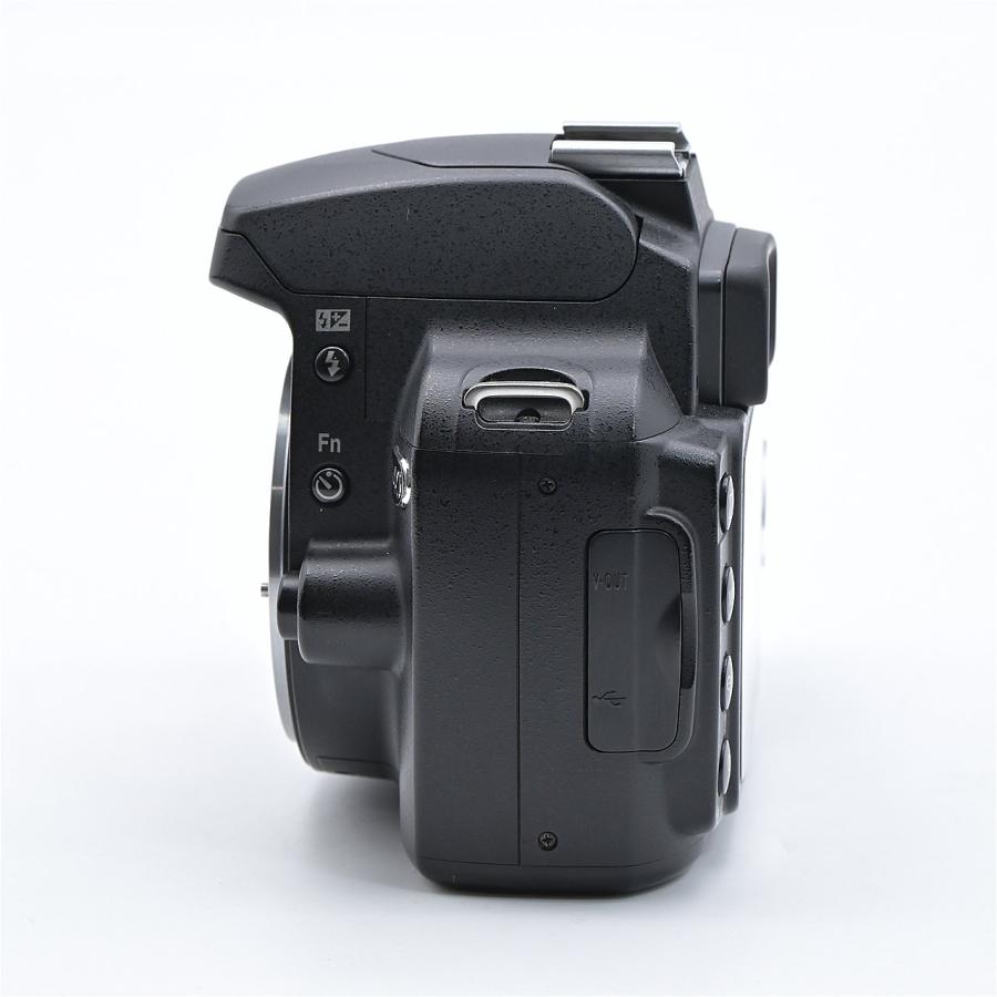 Nikon ニコン D40 レンズキット ブラック : フラッグシップカメラ