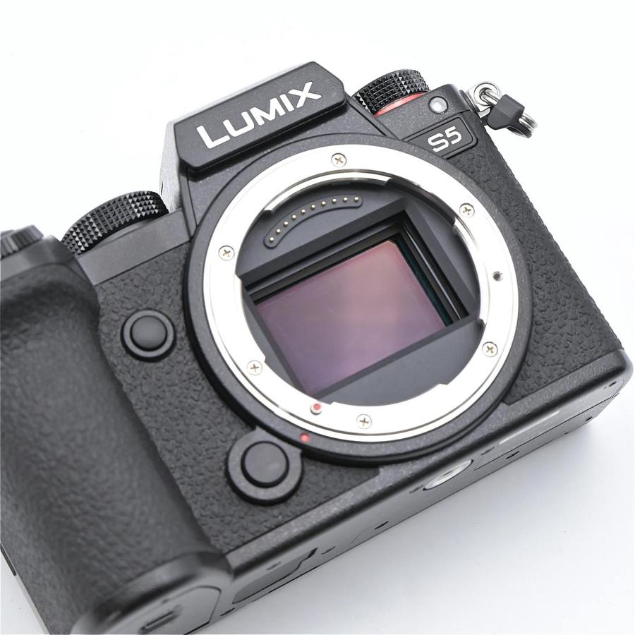 Panasonic パナソニック LUMIX DC-S5 ボディ : フラッグシップカメラ