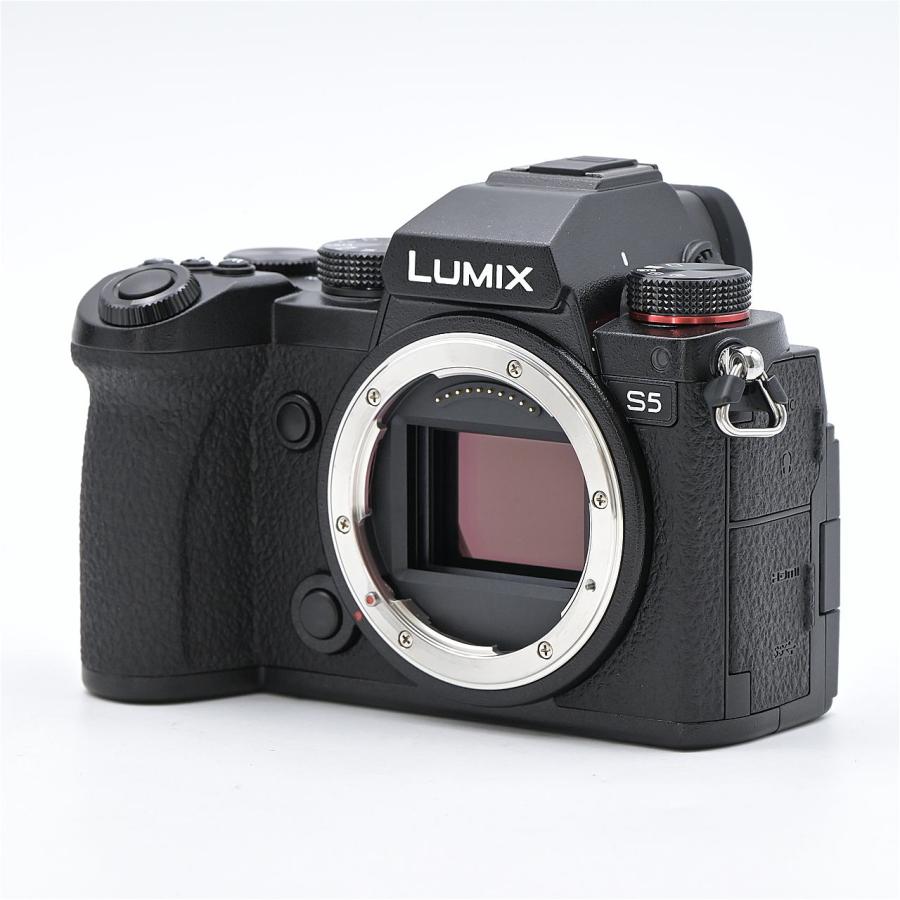 Panasonic パナソニック LUMIX DC-S5 ボディ : フラッグシップカメラ