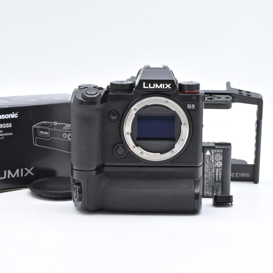 Panasonic パナソニック LUMIX S5 DC-S5 ボディ : フラッグシップ