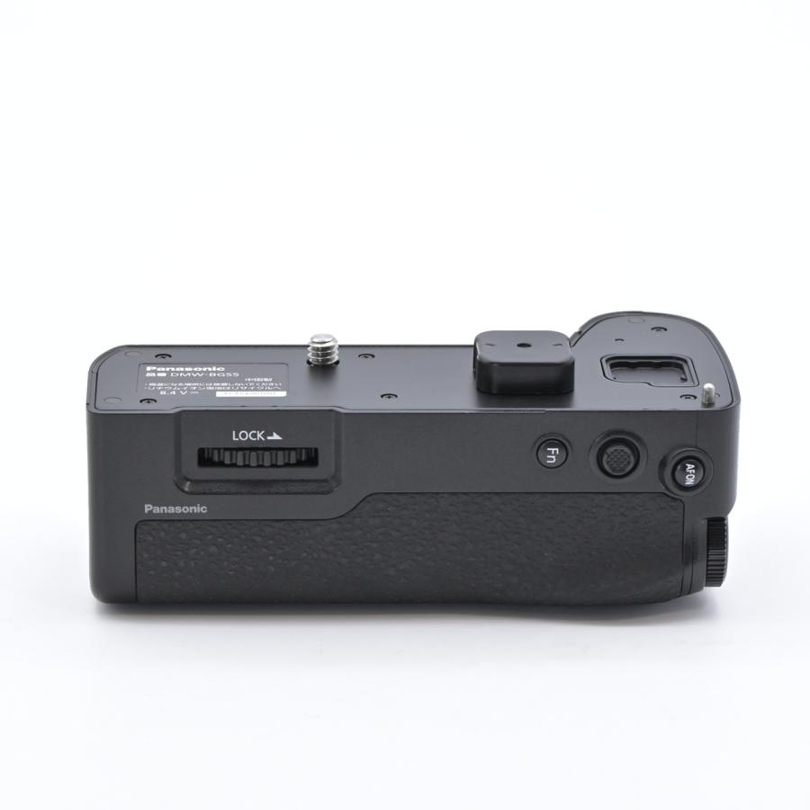 Panasonic パナソニック LUMIX S5 DC-S5 ボディ : フラッグシップ