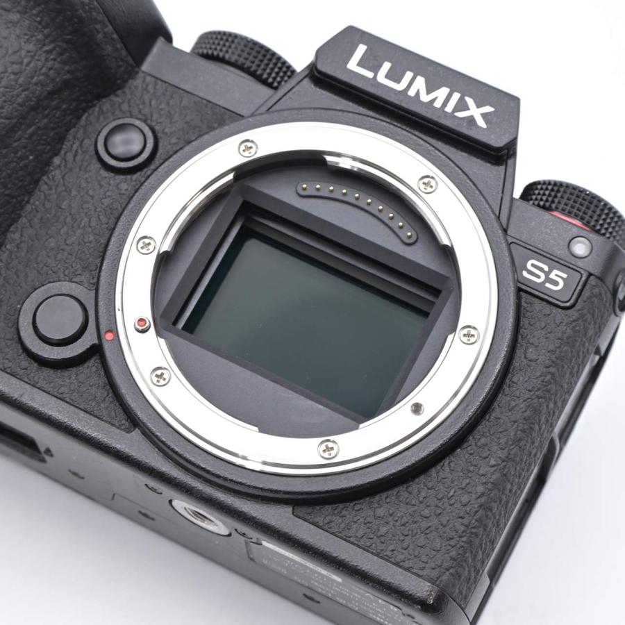 Panasonic パナソニック LUMIX S5 DC-S5 ボディ : フラッグシップ