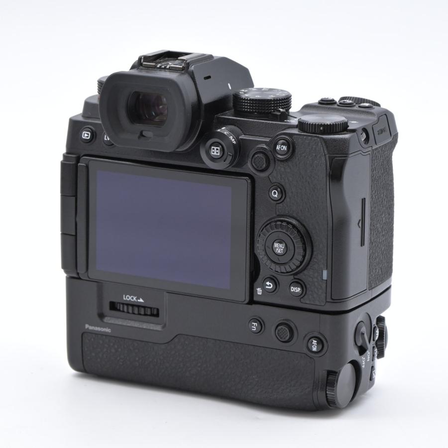 Panasonic パナソニック LUMIX S5 DC-S5 ボディ : フラッグシップ