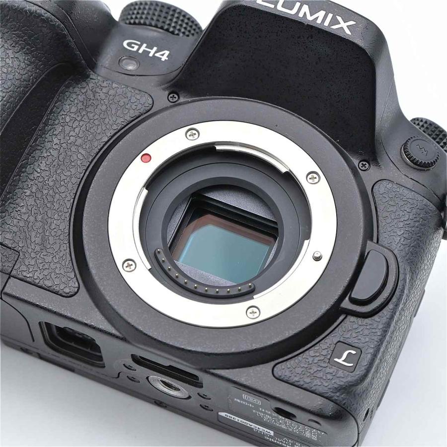 Panasonic パナソニック LUMIX GH4 ボディ ブラック DMC-GH4-K |  | 11