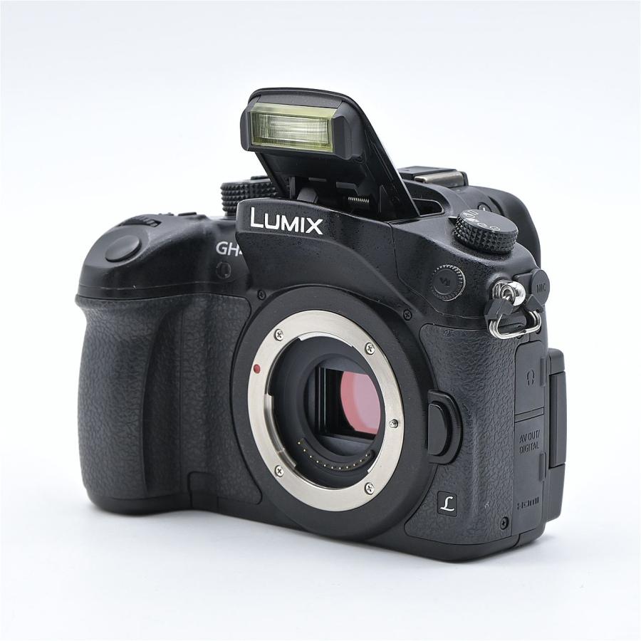 Panasonic パナソニック LUMIX GH4 ボディ ブラック DMC-GH4-K |  | 09