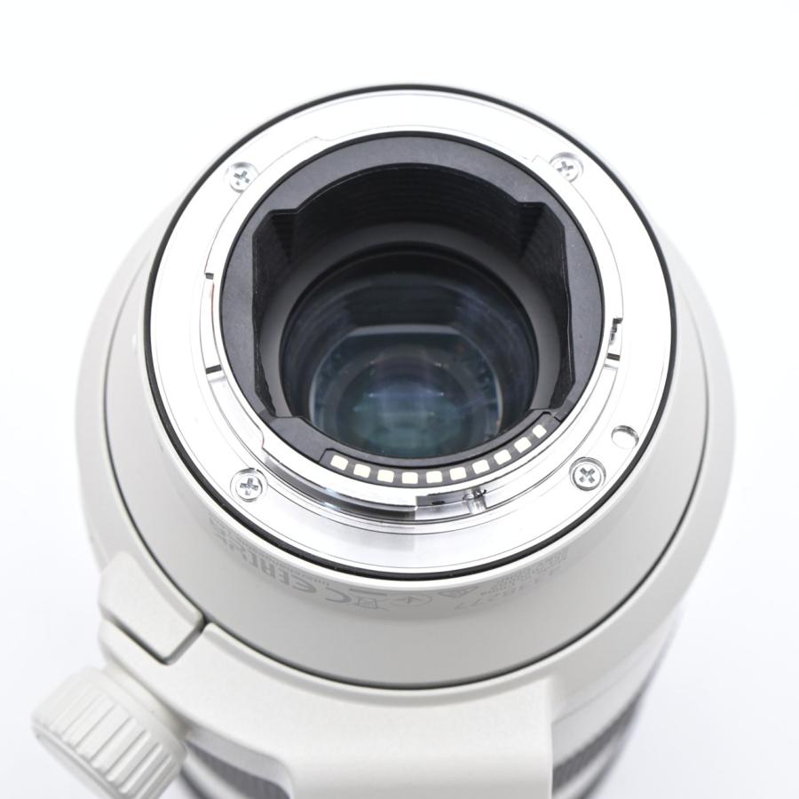 SONY ソニー FE 70-200mm F4 Macro G OSS II SEL70200G2 |  | 10