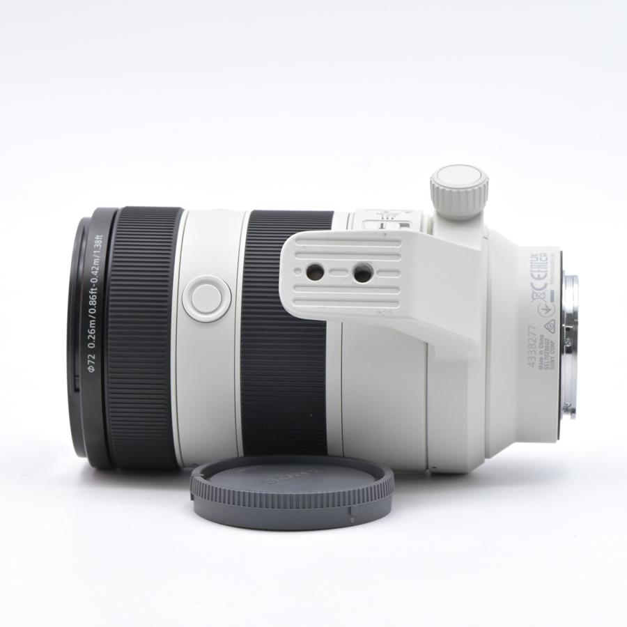 SONY ソニー FE 70-200mm F4 Macro G OSS II SEL70200G2 |  | 05
