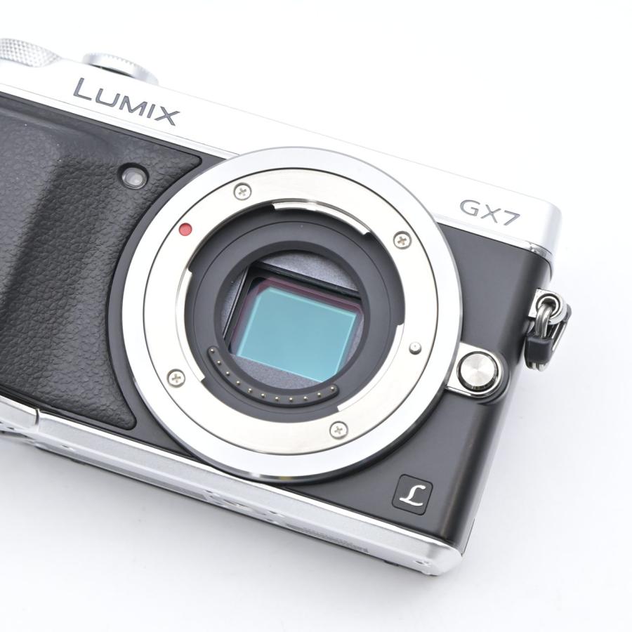 Panasonic パナソニック LUMIX GX7 ボディ シルバー DMC-GX7-S |  | 09