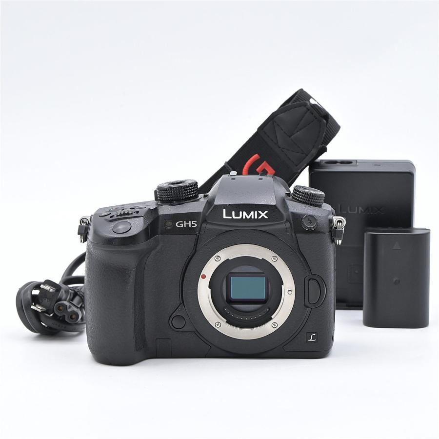 Panasonic パナソニック LUMIX DC-GH5-K ボディ ブラック | 