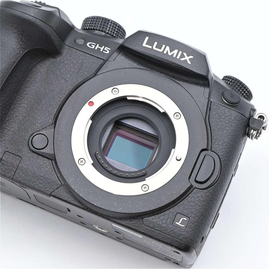 Panasonic パナソニック LUMIX DC-GH5-K ボディ ブラック |  | 11