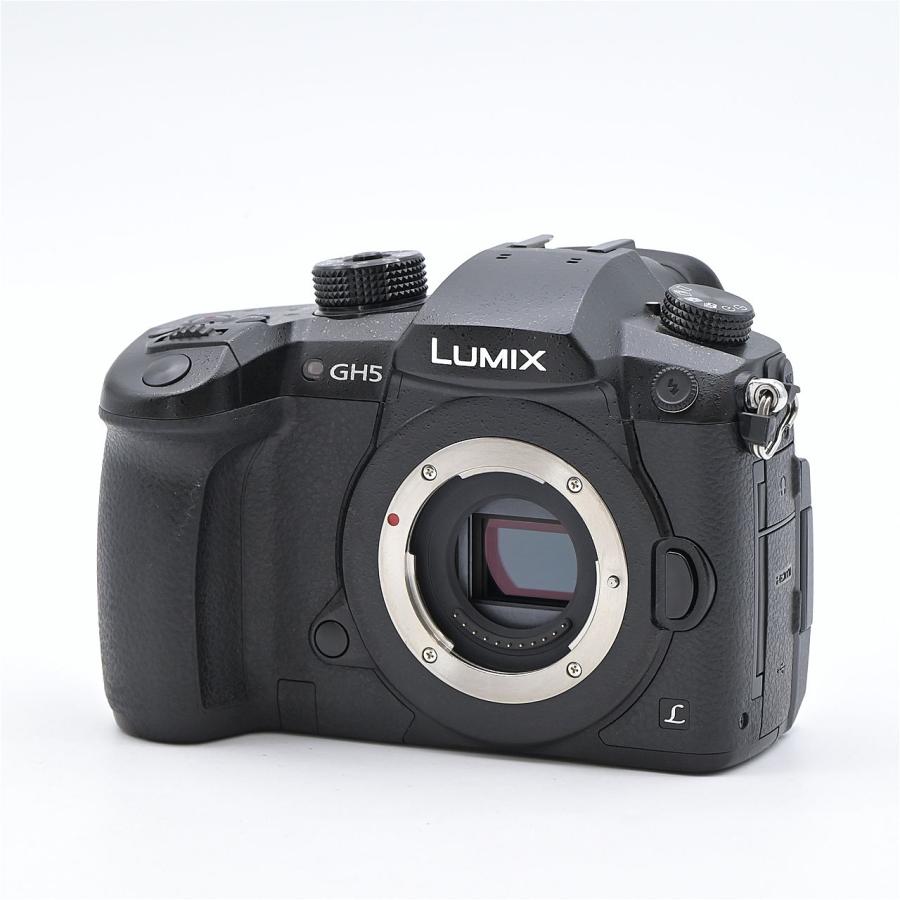 Panasonic パナソニック LUMIX DC-GH5-K ボディ ブラック |  | 01