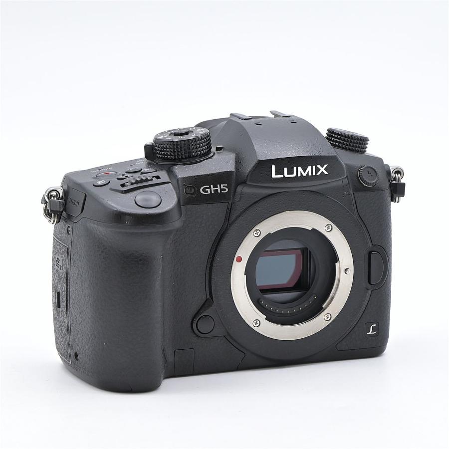 Panasonic パナソニック LUMIX DC-GH5-K ボディ ブラック |  | 02