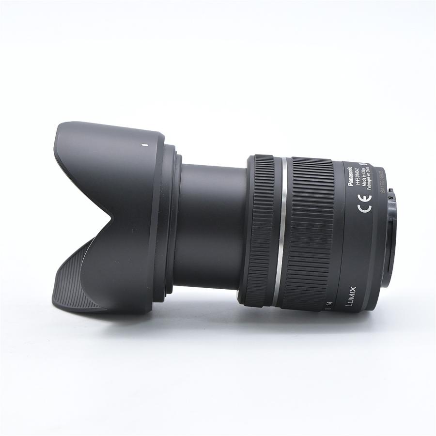 Panasonic パナソニック LUMIX GF3 ダブルレンズキット DMC-GF3W-K |  | 15