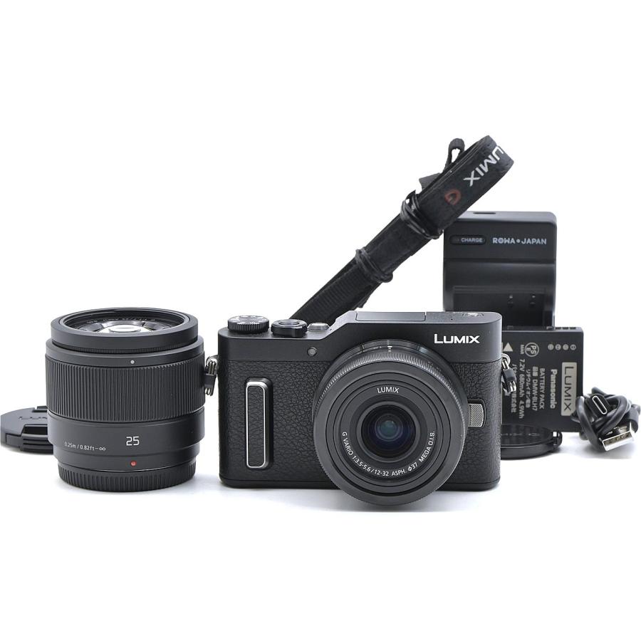 Panasonic パナソニック GF10 ダブルレンズキット ブラック DC-GF10W-K | 