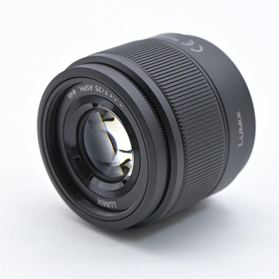 Panasonic パナソニック GF10 ダブルレンズキット ブラック DC-GF10W-K |  | 13