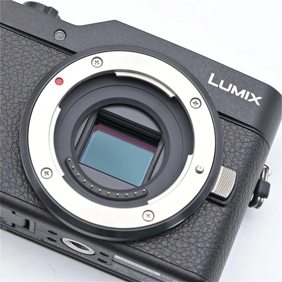 Panasonic パナソニック GF10 ダブルレンズキット ブラック DC-GF10W-K |  | 16