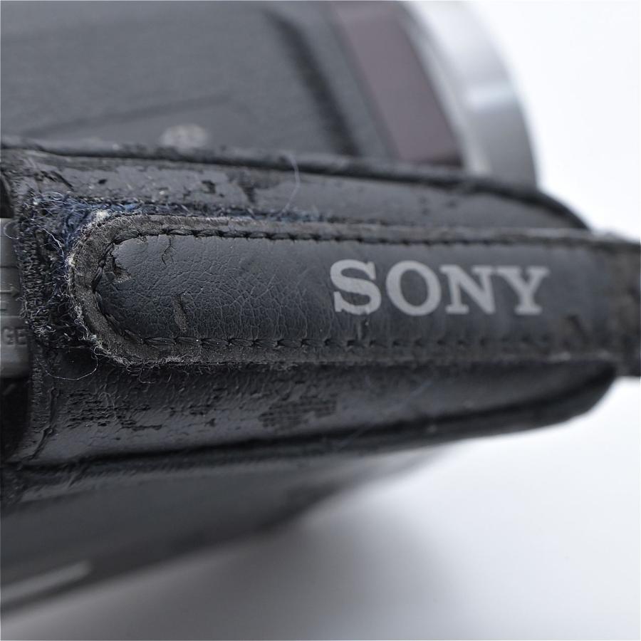 SONY ソニー HDR-CX535 ボルドーブラウン |  | 14