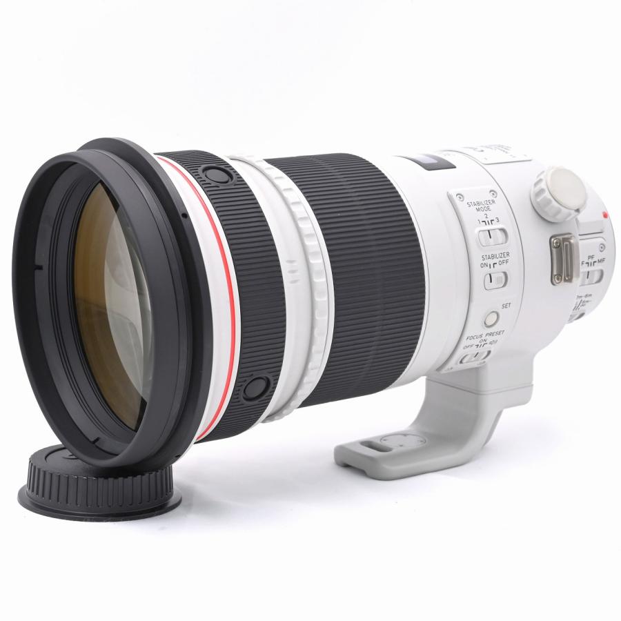 キヤノン Canon EF300mm F2.8L IS II USM |  | 01